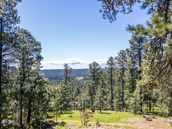 21376 Hedgehog Ln, Deadwood, SD 57732