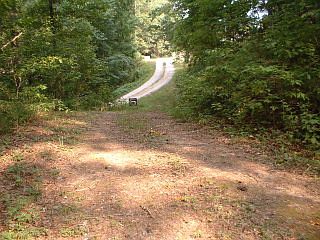 1st image of 1D Meadowbrook Ln