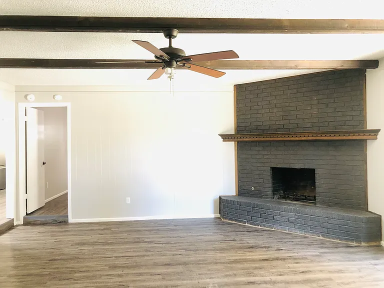 Wood or gas burning fireplace