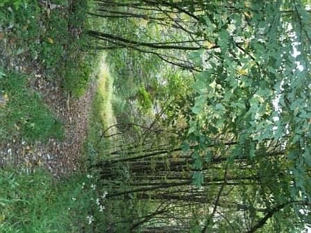 2nd image of Rohr Rd