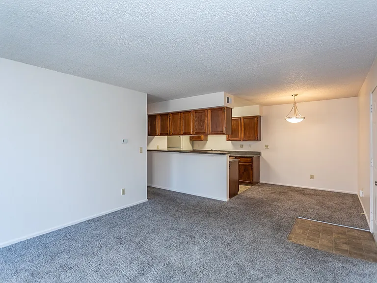 Palmetto Club Apartments — Photo 9
