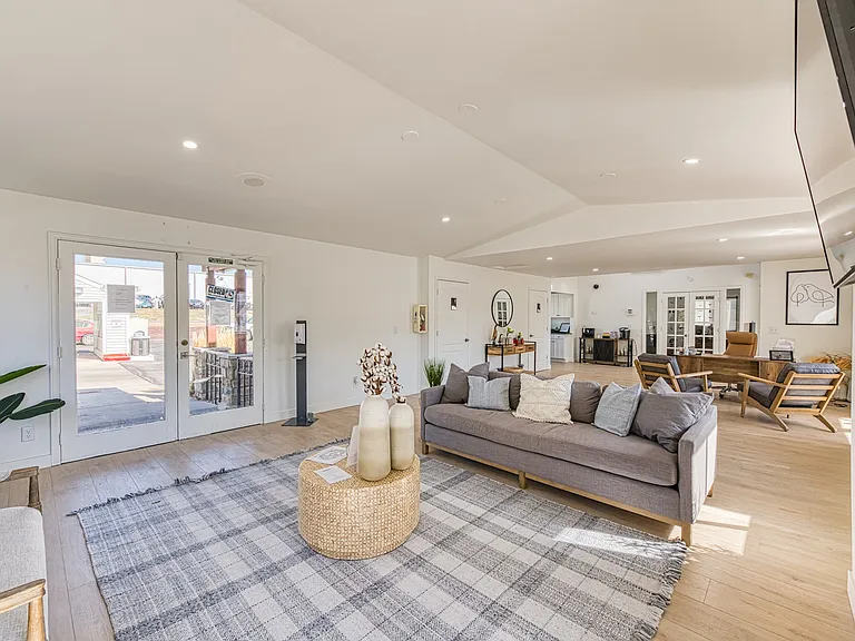 The Goose