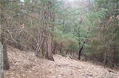 5th image of 16204 Ponderosa Dr