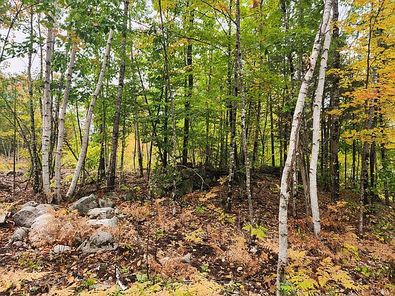 2nd image of Lot 6 Willy's Way