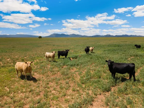 13 Boomer Rd, Stanley, NM 87056