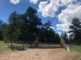 295 Shawnee Trl, Westcliffe, CO 81252