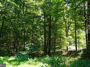 247 Bluffs Rdg, Springfield, WV 26763