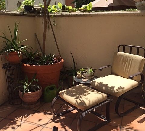 2nd image of 300 Euclid Ave APT 103