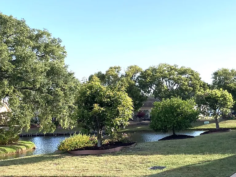 Side yard views with fruit trees
