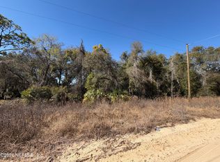 0 CHERRY Avenue, Hawthorne, FL 32640