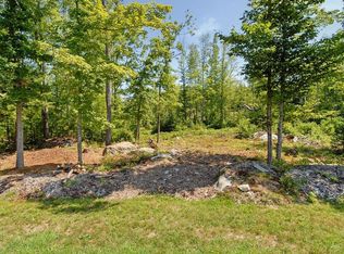 18 Deer Path Ln #18, Center Tuftonboro, NH 03816