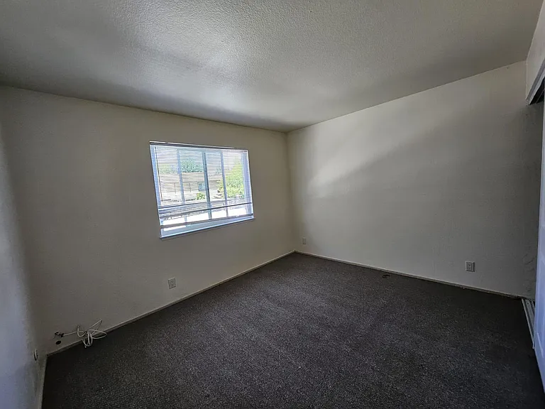 5154 Greenberry Dr — Photo 11