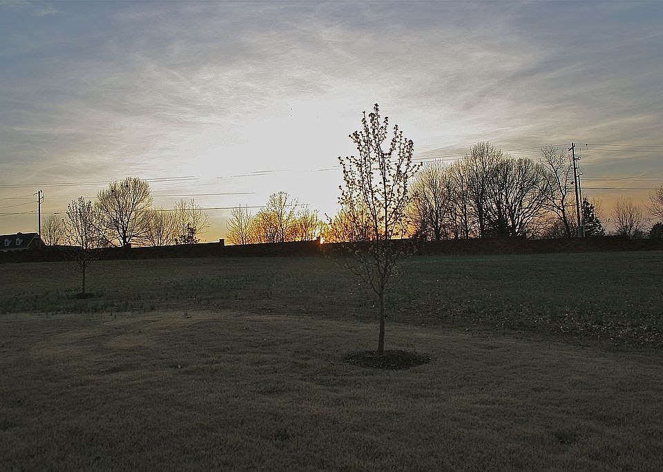 1st image of 0 Forest Lake Dr