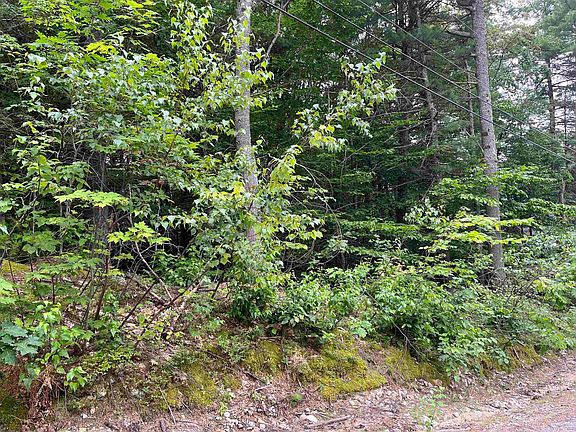 2nd image of lot 76 Franconia Drive