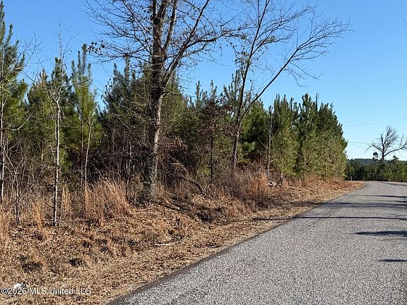 4th image of 0 Delancy Rd