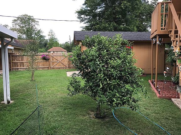 Inside fenced backyard area