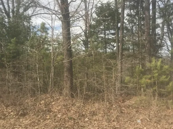 (undisclosed Address), Mountain View, AR 72560