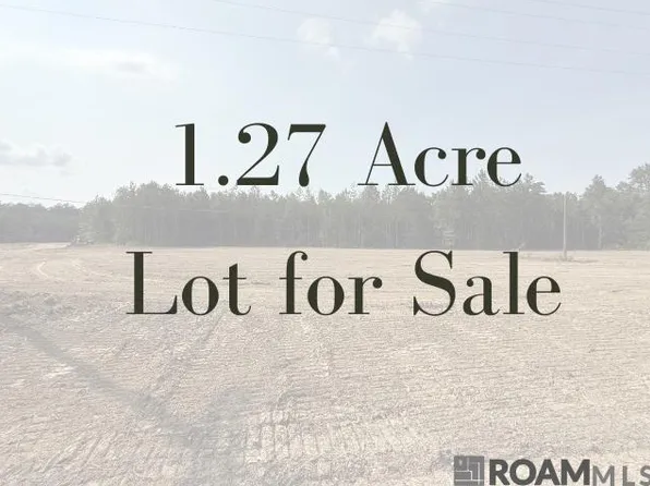 19121 State Highway 444, Livingston, LA 70754