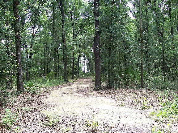 2nd image of Tbd Cr #349