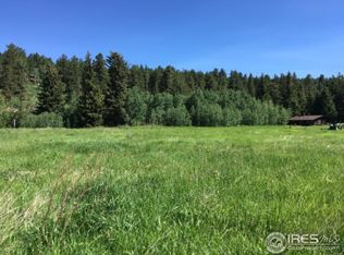 346 Beaver Creek Dr, Nederland, CO 80466
