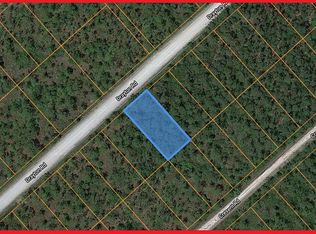 300-598 Drayton Rd, Boiling Spring Lakes, NC 28461