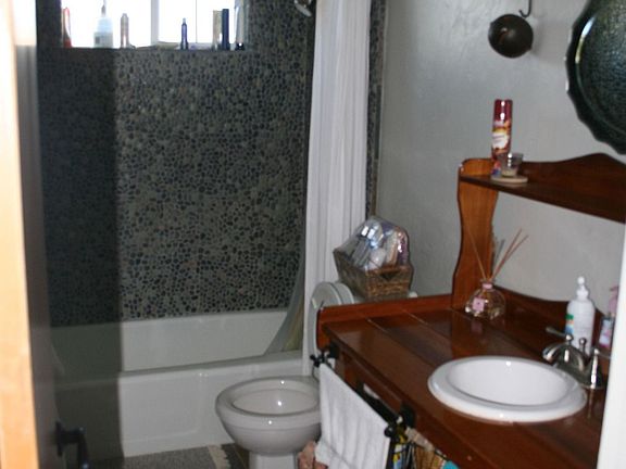 Bathroom w/rock shower