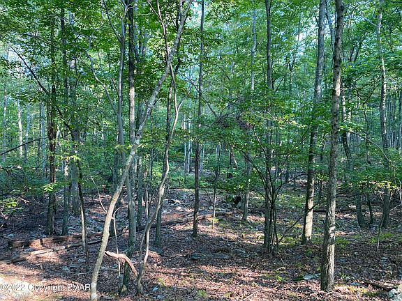 5th image of LOT 401 Wildwood Ln