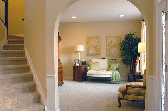 Entry and Living Room