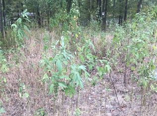 213 Navajo Trl, West Tawakoni, TX 75474