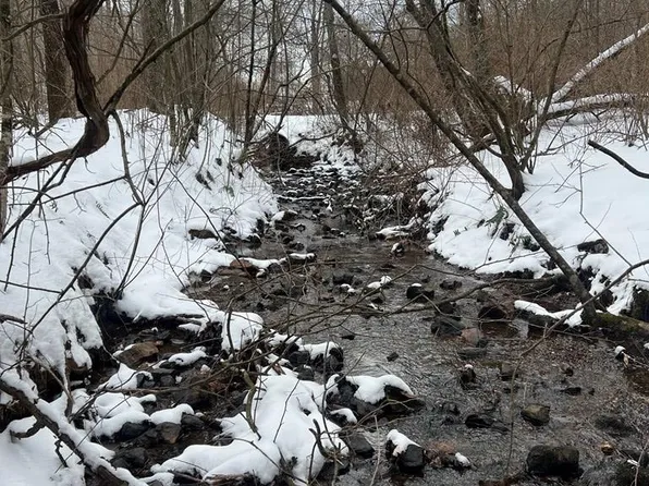 Buffalo Mountain Rd SW, Meadows Of Dan, VA 24120