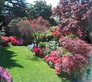 Backyard from M. Bedroom