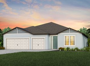 13714 Brookside Haven St, Riverview, FL 33578