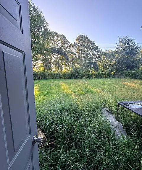 11130 Dalebrook Dr — Photo 12