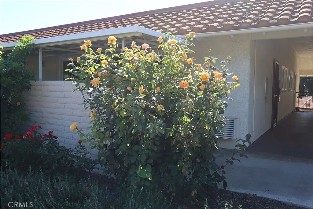 2 bed, 1079 sqft, $3,100 — Photo 4