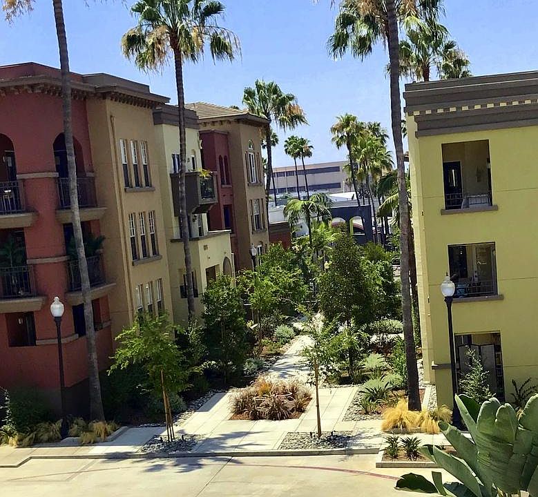 View from Patio