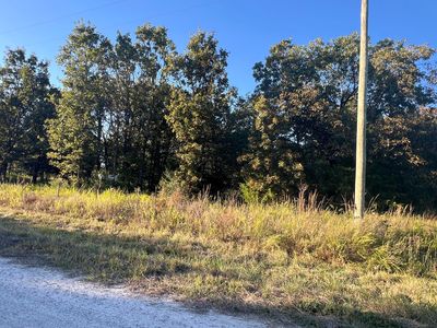 40 Buggy Drive, Fair Grove, MO, 65648