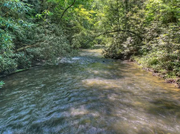 38 River Rd, Cherry Log, GA 30522