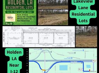 Lakeview Ln, Holden, LA 70744