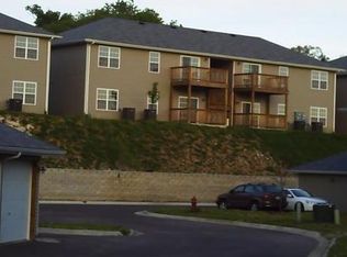 115 Knowledge Ave #1, Branson, MO 65616