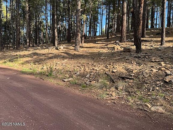 5th image of 9285 Coyote Pass