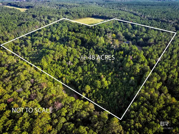 3346 Hoomesville Rd, Brewton, AL 36426