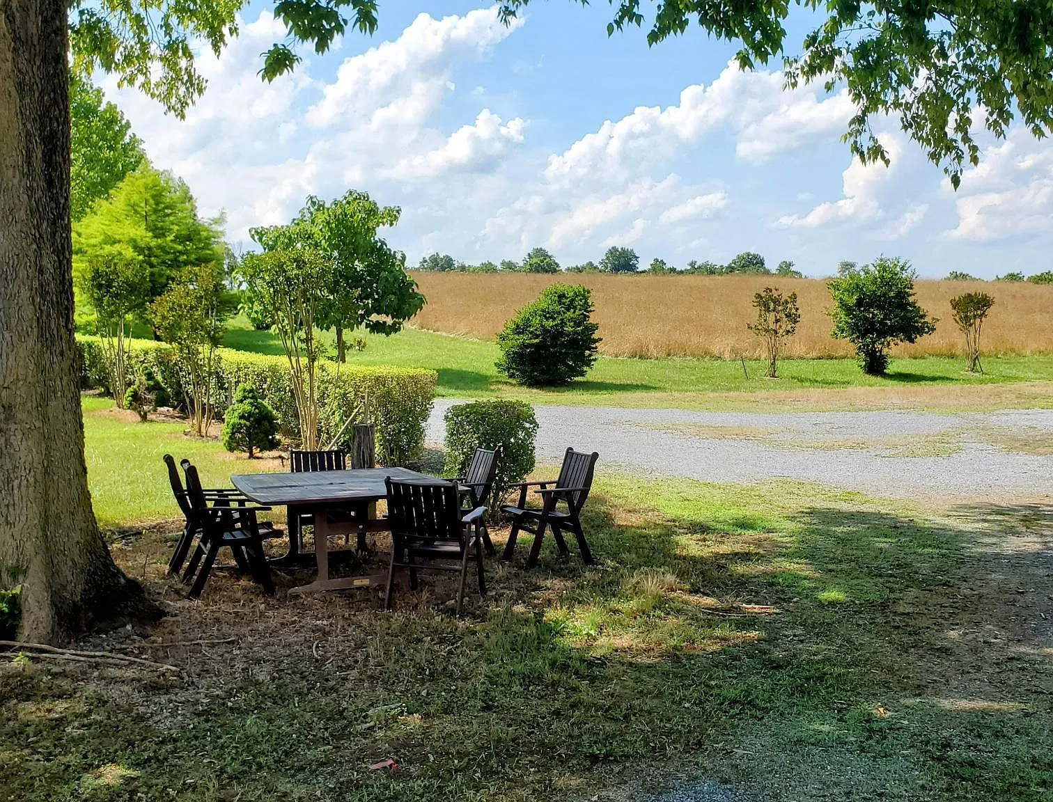 15215 Edwards Ferry Rd — Photo 2