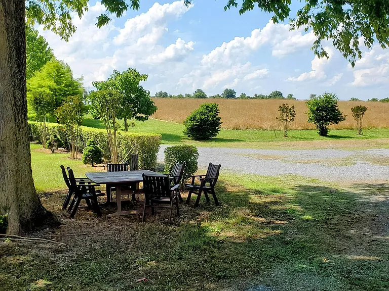 15215 Edwards Ferry Rd — Photo 2