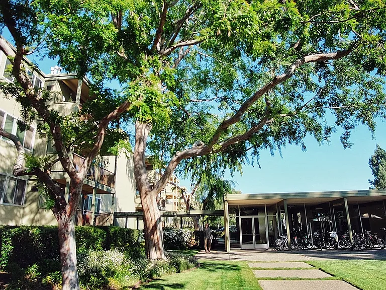 Arastradero West Apartments — Photo 8