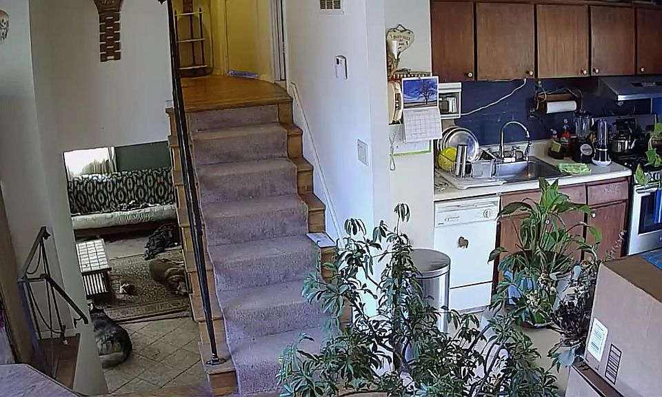 Kitchen, Dining and Living