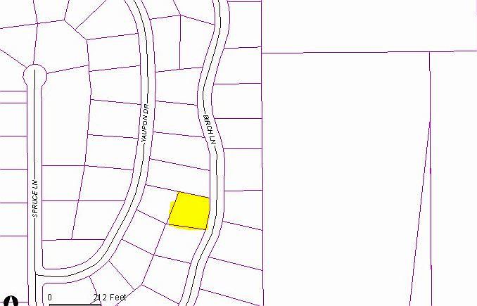 2nd image of 0 Birch Lane