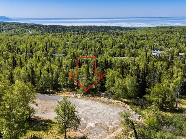 12801 Midori Dr, Anchorage, AK 99516