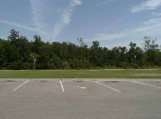 0 Old Palmetto Path Village Ctr, Saint Marks, FL 32355