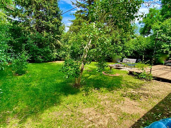 lots of trees & shrubs in the back