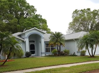 12804 Lake Tree Ln, Hudson, FL 34669